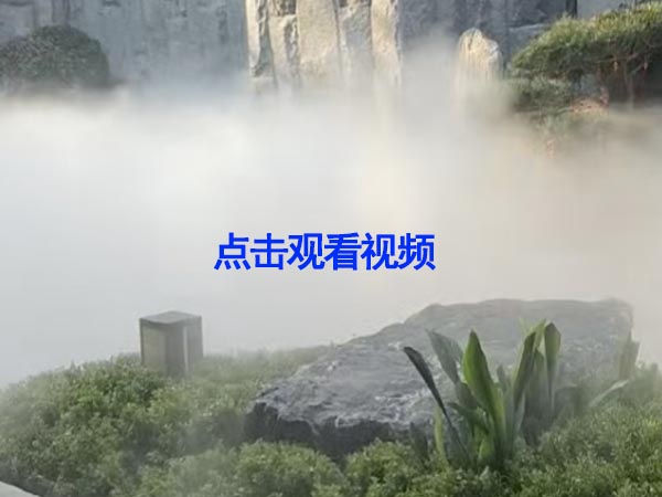 1777176544123937.jpg